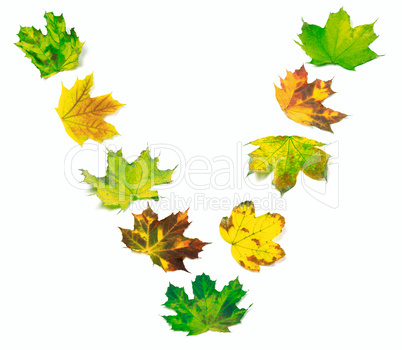 Letter V composed of multicolor maple leafs