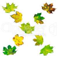 Letter X composed of multicolor maple leafs