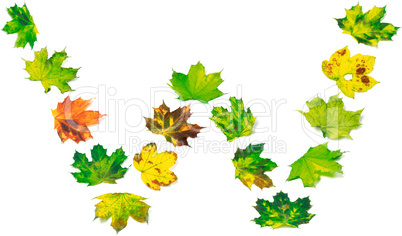 Letter W composed of multicolor maple leafs