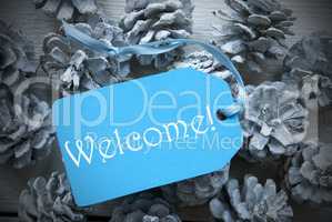 Light Blue Label On Fir Cones With Welcome