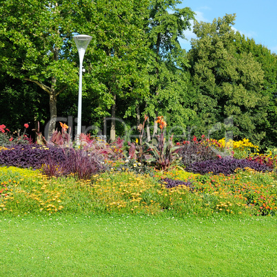 summer park with beautiful flowerbeds