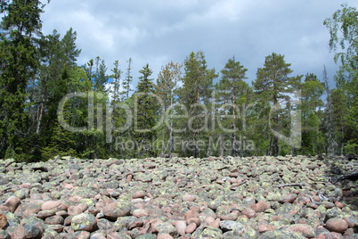 Nationalpark Skuleskogen, Höga Kusten, Schweden