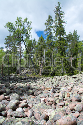 Nationalpark Skuleskogen, Höga Kusten, Schweden