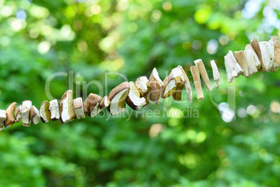 Sliced mushrooms are dried on a string