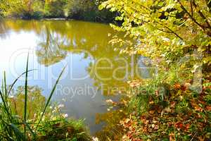 Colorful autumn landscape with a river view