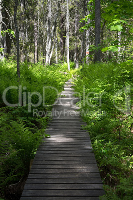 Nationalpark Skuleskogen, Höga Kusten, Schweden