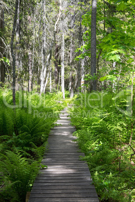 Nationalpark Skuleskogen, Höga Kusten, Schweden