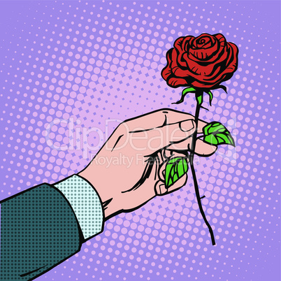 man gives flower rose