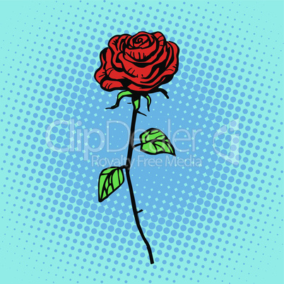 Flower red rose stem with thorns