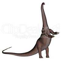 Apatosaurus dinosaur standing up - 3D render