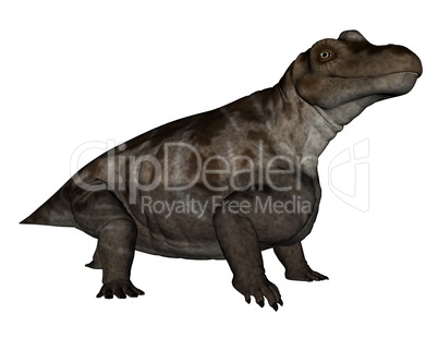 Keratocephalus dinosaur - 3D render