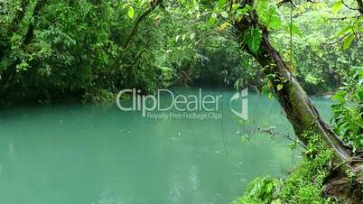 Blue River Stream Lagoon Rainforest Jungle National Parks Costa Rica