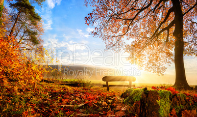 Zauberhafte Herbstszene