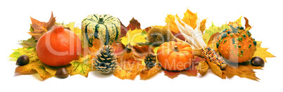 Herbst Dekoration im Panorama Format