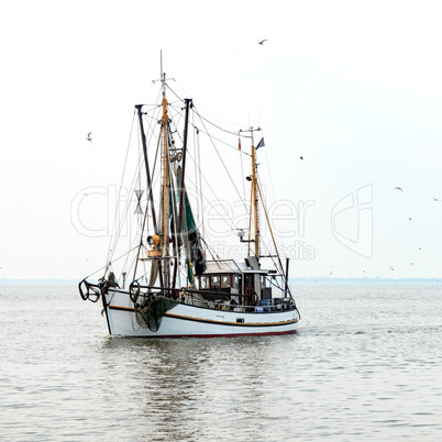North Sea shrimp boats
