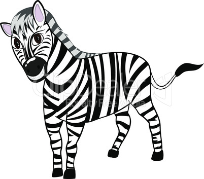 Funny Cartoon Zebra