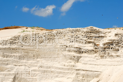 Sandy mountain with the bird's nests