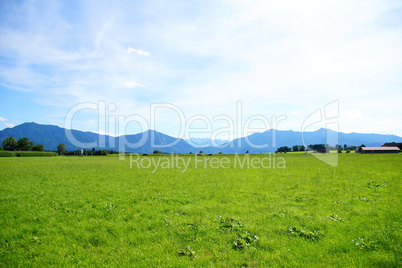 Berge und grüne Wiese