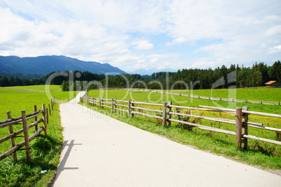 schmale Strasse in grüner Landschaft