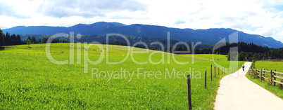 grüne Landschaft im Allgäu Panorama