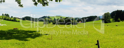 Landschaft bei Thal im Ostallgäu Panorama