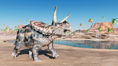 Dinosaurier Torosaurus