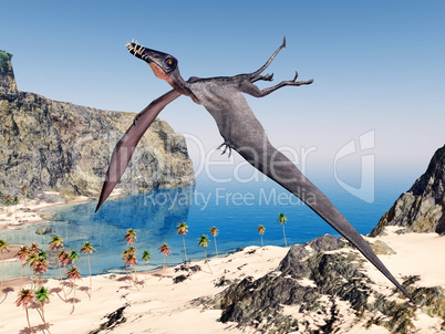 Flugsaurier Dorygnathus