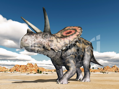 Dinosaurier Torosaurus