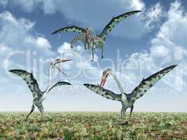 Quetzalcoatlus attackiert einen Camarasaurus