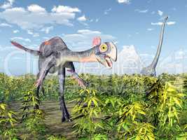 Gigantoraptor und Mamenchisaurus