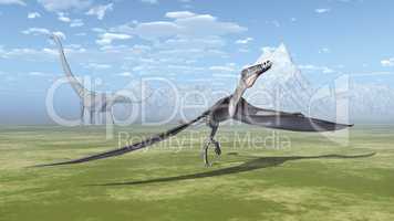 Dorygnathus und Mamenchisaurus