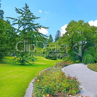 Footpath in a summer park