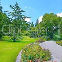 Footpath in a summer park