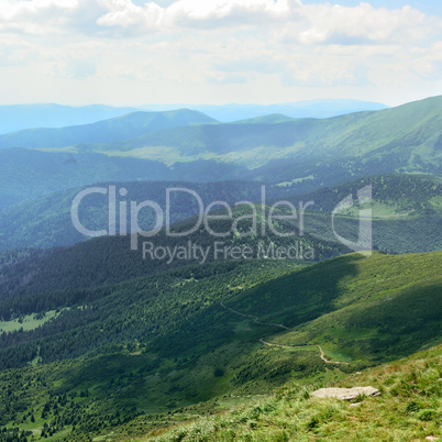 Beautiful mountains covered trees