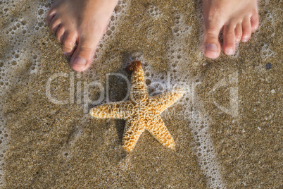 Starfish and feet on the beach