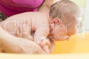 Bathing newborn baby.