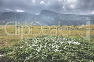 High mountain landscape. Dramatic sky