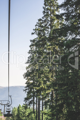 Lift in the mountain. Fir forest. Summer time