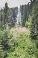 Lift in the mountain. Fir forest. Summer time