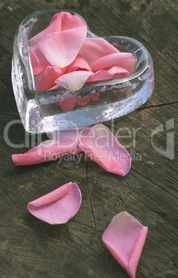 Rose leaves on wood