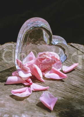 Rose leaves on wood