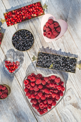 Red and black raspberry and blueberry