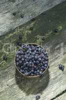 Blueberries in a bowl