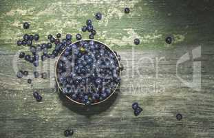 Blueberries in a bowl