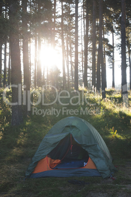 Tent in the forest on sunlight