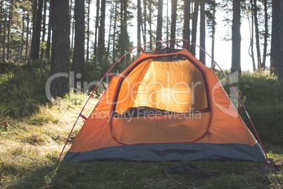 Tent in the forest on sunlight