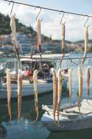 Octopus and boats