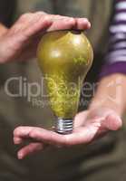 Eco energy lamp pear