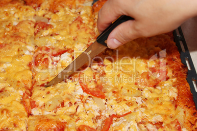 appetizing home pizza cutting by knife