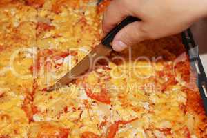 appetizing home pizza cutting by knife